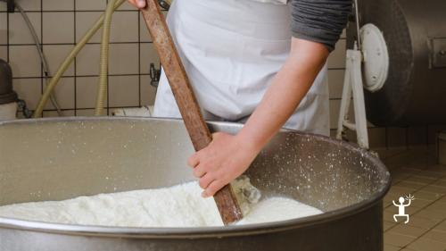 Esperienza in antico caseificio artigianale a Vico Equense con laboratorio di primosale e degustazione, perfetta idea regalo