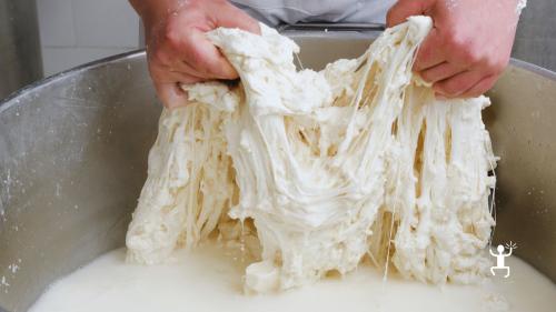 Visita guidata in laboratorio caseario a Vico Equense con mastro casaro, esperienza adatta a team building e amici