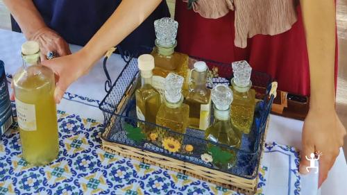 Esperienza a Napoli, tra Vomero e Golfo di Posillipo con laboratorio artigianale di limoncello, ideale per famiglie