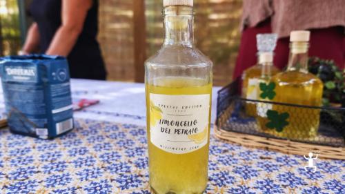 Tour con accompagnatrice turistica dal Vomero ai Quartieri Spagnoli con degustazione di limoncello, perfetto per coppie
