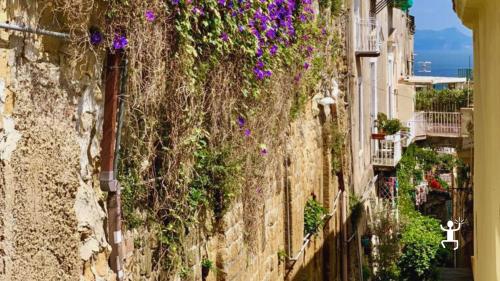 Esperienza con accompagnatrice turistica nei Quartieri Spagnoli e degustazione su terrazza privata, perfetta per addii al celibato