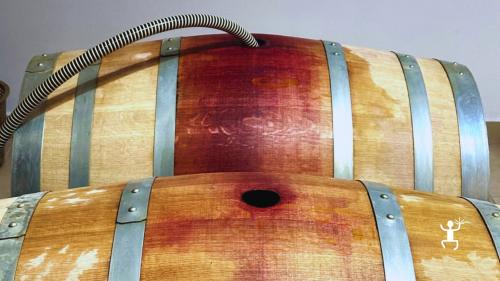 Tour guidato in cantina Terra Laboris a Casola vicino Caserta Vecchia, degustazione vini per gruppi in Campania