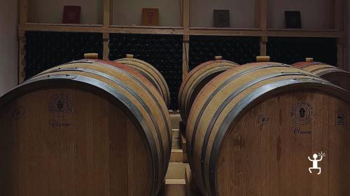 Degustazione vini della Terra Laboris con visita alla cantina a Casola a Caserta, attività enogastronomica per coppie