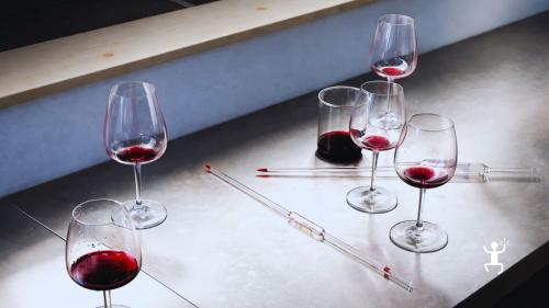 Visita cantina con degustazione vini locali della Terra Laboris a Casola vicino Caserta Vecchia, esperienza per team building