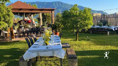 Cooking class a Pompei con preparazione di un pranzo tipico campano; esperienza per coppie e team building 