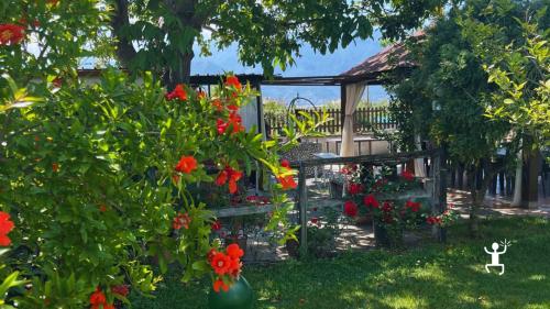 Cooking class a Pompei in orto di famiglia con vista Vesuvio; esperienza per coppie e gruppi in Campania