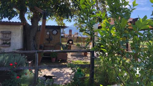 Alt: Corso di cucina a Pompei con pasta fresca fatta a mano; esperienza per coppie e amici in Campania