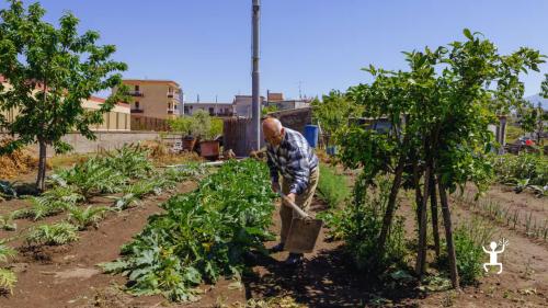 Cooking class a Pompei in giardino con orto e tradizioni locali; esperienza per famiglie e gruppi in Campania