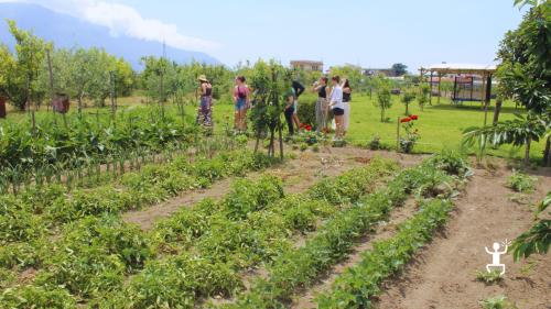 Corso di cucina campana a Pompei con cuoca locale; esperienza per coppie e team building in Campania