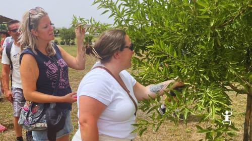 Esperienza di cucina a Pompei con prodotti dell’orto; ideale per coppie e famiglie in Campania