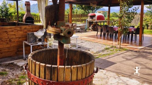 Cooking class a Pompei con pasta fatta in casa; esperienza per gruppi e perfetta idea regalo