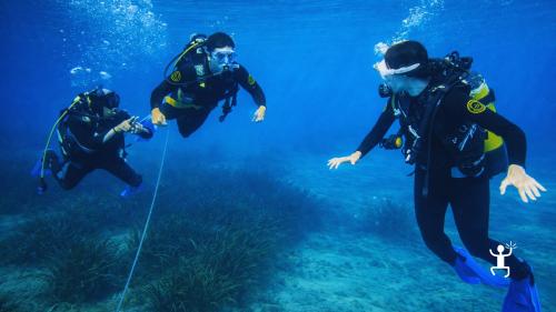 Prima esperienza di immersione nel Cilento con partenza da Agropoli e supporto guida, attività per famiglie in Campania