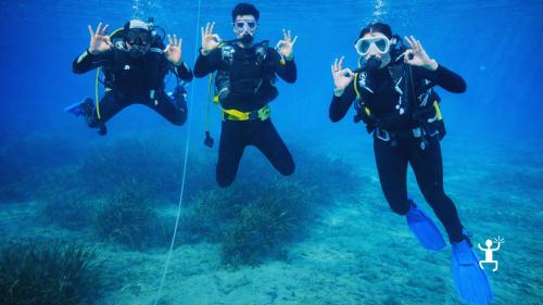 Esperienza di prima immersione subacquea nel Cilento con istruttore PSS ad Agropoli, attività guidata per coppie e famiglie