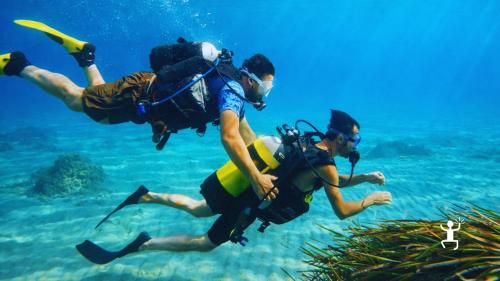 Battesimo del mare nel Cilento con immersione guidata e fondali autentici ad Agropoli, idea regalo in Campania