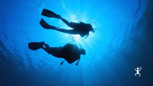 Attività subacquea nel Cilento con istruttore certificato PSS e immersione guidata in sicurezza, ideale per gruppi e famiglie