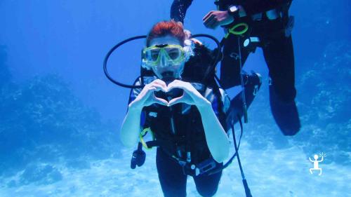 Esperienza subacquea nel Cilento con guida certificata PSS e fondali naturali ad Agropoli, perfetta per coppie e idee regalo