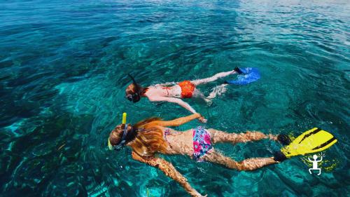 Attività di snorkeling nel Cilento tra le acque limpide della Baia del Sauco con guida esperta, perfetta per amici e team building