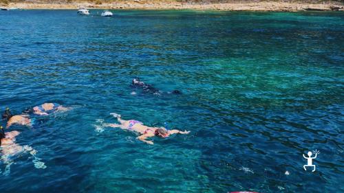 Snorkeling guidato nel Cilento alla Baia del Sauco tra fondali cristallini, esperienza adatta a coppie e gruppi