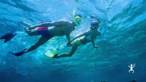 Tour di snorkeling nel Cilento con partenza dal porto di Agropoli e navigazione tra baie suggestive, ideale per famiglie