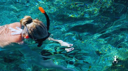 Snorkeling nel Cilento con guida nella Baia del Sauco tra pesci e flora marina, esperienza perfetta per coppie e gruppi