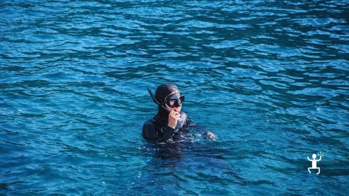 Escursione di snorkeling nel Cilento lungo la costa di Agropoli con soste in baie suggestive, perfetta idea regalo