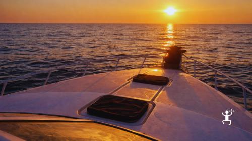 Snorkeling notturno alla Baia del Sauco ad Agropoli con guida e fondali illuminati, ideale per coppie e gruppi