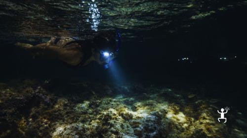 Snorkeling notturno tra Baia di Trentova e Baia del Sauco con guida e attrezzatura inclusa, ideale per gruppi e team building