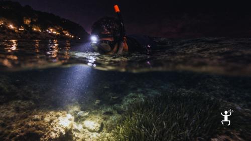 Escursione di snorkeling notturno nel Cilento con aperitivo in barca e vista sulla Grotta dell’Elefante, per amici e gruppi