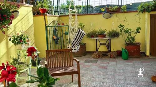 Esperienza autentica a Scafati in casa campana, con pizza napoletana dall’impasto alla degustazione in un’atmosfera conviviale