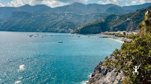 Tour in minivan sulla Costiera Amalfitana con autista professionista tra Positano e Sorrento, ideale per coppie e tour panoramici