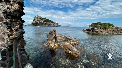 Snorkeling a Ischia tra fondali naturali e emissioni gassose dal fondale, ideale per coppie e team building in Campania