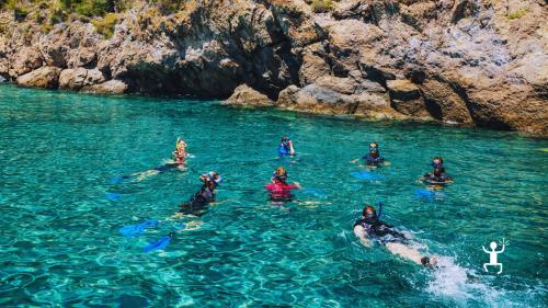 Esperienza di snorkeling a Ischia tra grotte marine e fondali cristallini, ideale per coppie e gruppi in Campania