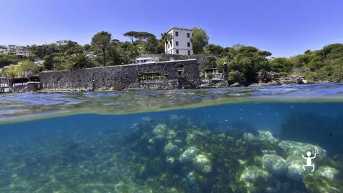 Snorkeling a Ischia con esplorazione della Grotta Verde e acque limpide, attività per amici e team building in Campania