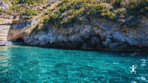Attività di snorkeling a Ischia tra fondali ricchi di pesci e biodiversità marina, perfetta per coppie e famiglie in Campania