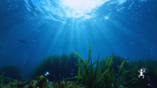 Esperienza in mare a Ischia con snorkeling tra grotte naturali e giochi di luce, ideale per gruppi e amici in Campania