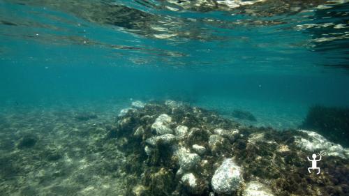 Escursione snorkeling a Ischia tra costa rocciosa e acque trasparenti, ideale per gruppi e addii al celibato in Campania