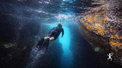 Esperienza di snorkeling a Ischia con guida certificata tra grotte e fauna marina, perfetta per coppie e amici in Campania