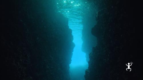 Snorkeling a Ischia nella zona del Castello Aragonese tra fondali e paesaggi marini, ideale per gruppi e team building in Campania