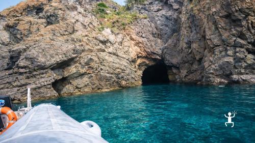 Attività in acqua a Ischia tra grotte e fondali limpidi con osservazione della fauna marina, perfetta per coppie e famiglie in Campania