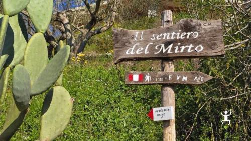 Laboratorio di pasta fatta a mano e trekking a Castel Morrone vicino il castello di Limatola per gruppi e team building