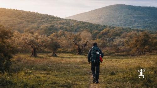 Trekking alle Comole di Castel Morrone vicino Casertavecchia con guida ambientale per famiglie in Campania