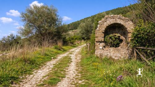 Trekking guidato a Monte Castello di Castel Morrone tra Monti Tifatini per famiglie e gruppi in Campania