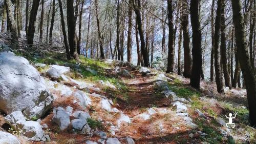 Escursione al Muro delle Fate a Castel Morrone con guida escursionistica per gruppi e amici in Campania