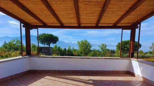 Visita vigneto nel Parco Nazionale del Vesuvio con panorama su Capri e degustazione vini ideale per coppie e gruppi