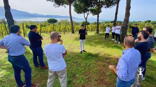 Esperienza enogastronomica con degustazione di Falanghina tra vigneti a piede franco del Vesuvio in Campania