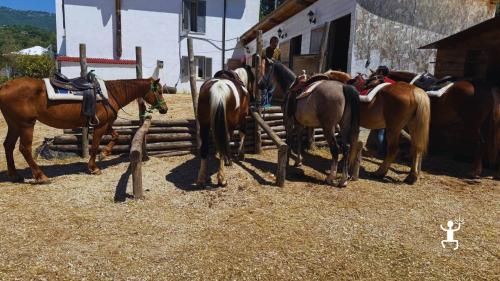 Passeggiata a cavallo a Sant’Agata de’ Goti in provincia di Benevento tra natura del Sannio, perfetta idea regalo in Campania