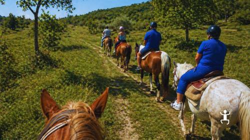 Tour equestre con vista sul Monte Taburno e paesaggi del Sannio beneventano, esperienza per gruppi di amici in Campania