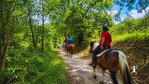 Escursione a cavallo tra vigneti, campagne e sentieri rurali nel Sannio a Benevento, ideale per team building e gruppi