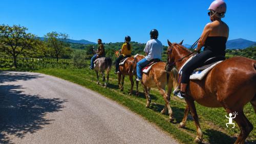 Esperienza a cavallo con aperitivo di prodotti tipici del Sannio a Sant’Agata de’ Goti, perfetta per coppie e idee regalo