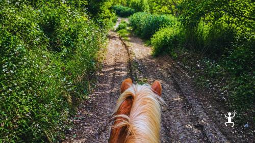 Esperienza di turismo equestre nel Sannio beneventano tra natura e borghi storici, ideale per coppie e team building a Benevento